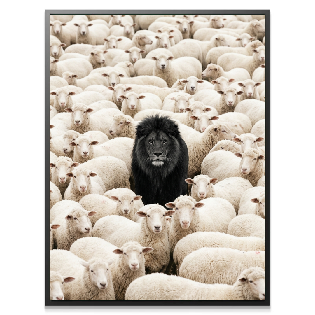 Lion Among Sheep