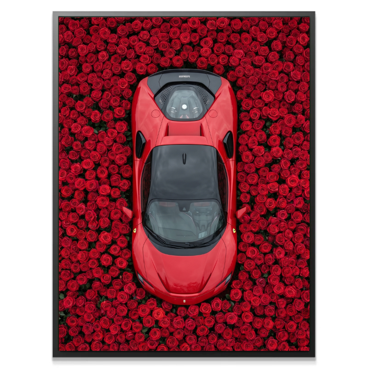Ferrari - Rose Garden