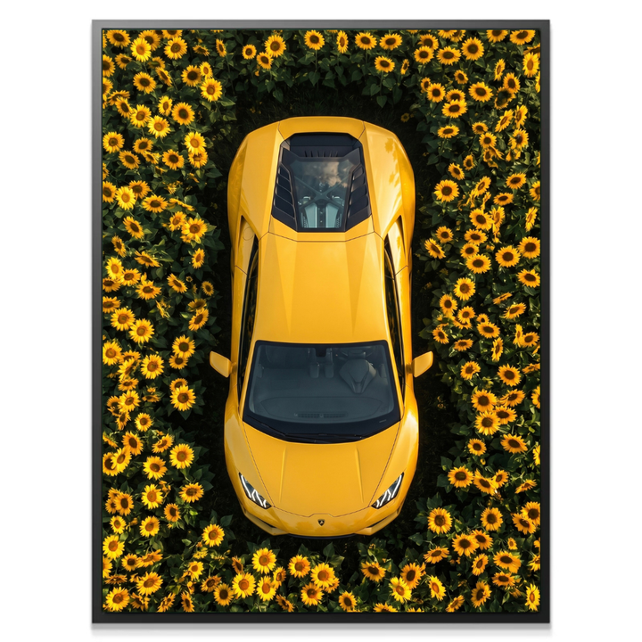 Lamborghini - Sunflower Garden
