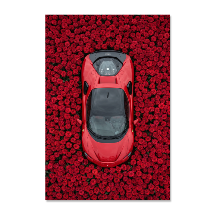 Ferrari - Rose Garden