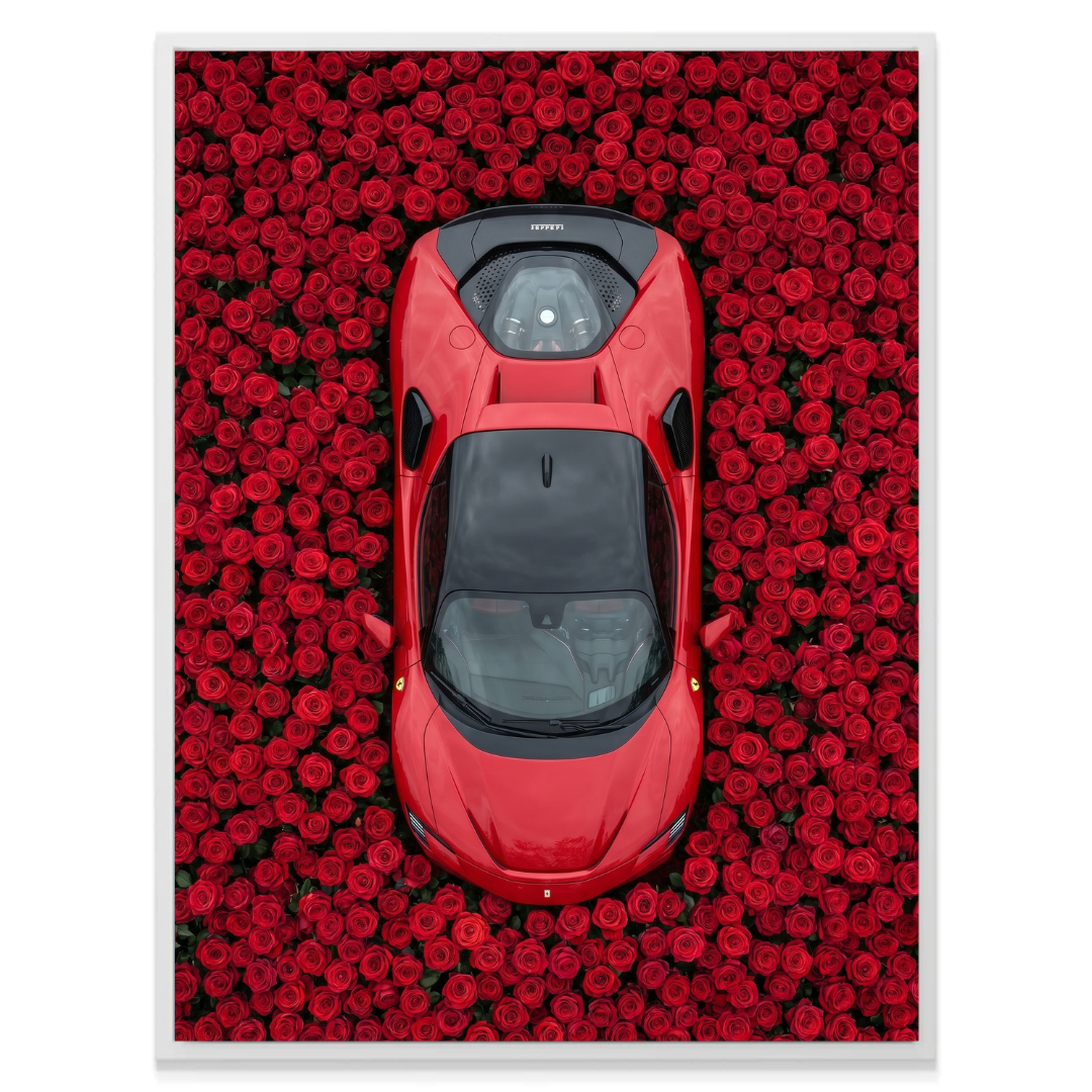 Ferrari - Rose Garden