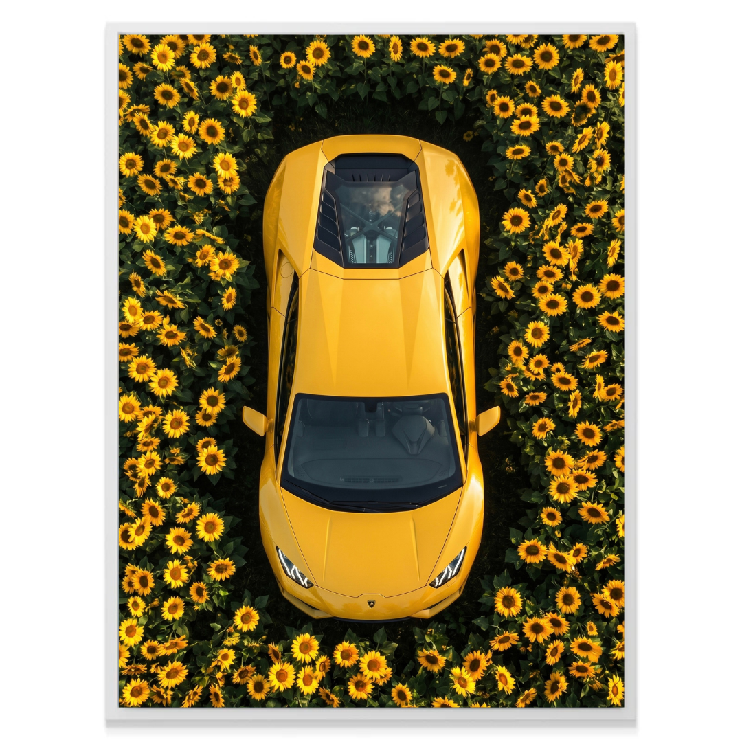 Lamborghini - Sunflower Garden