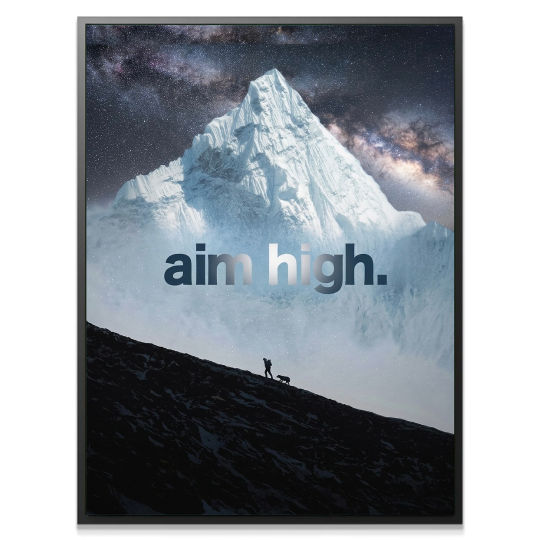 Aim High