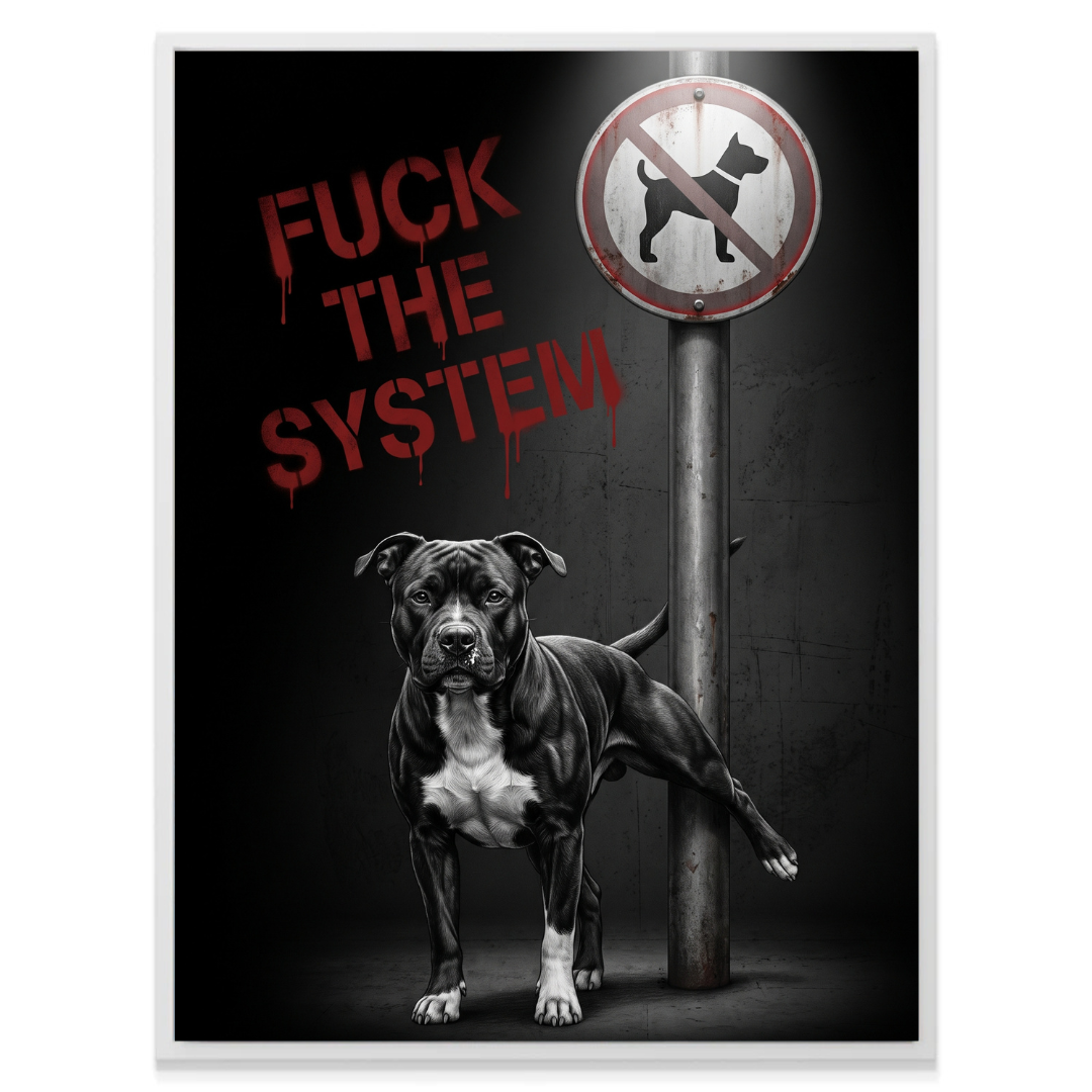 F The System
