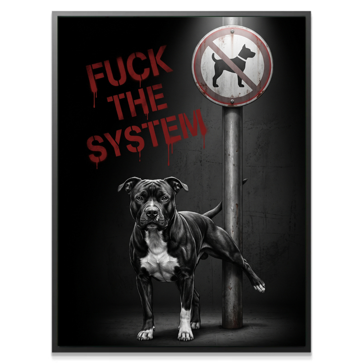 F The System