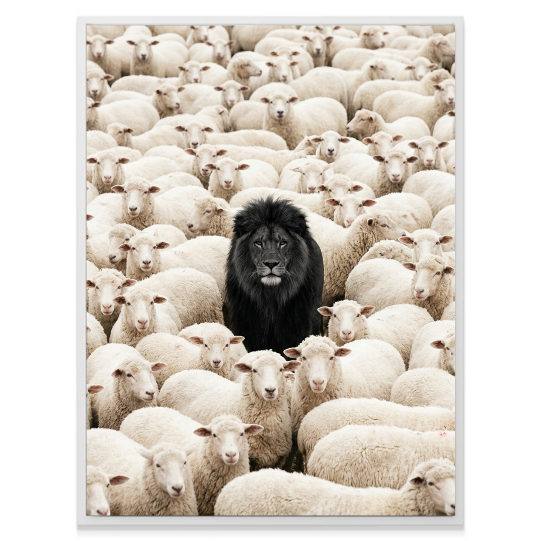 Lion Among Sheep
