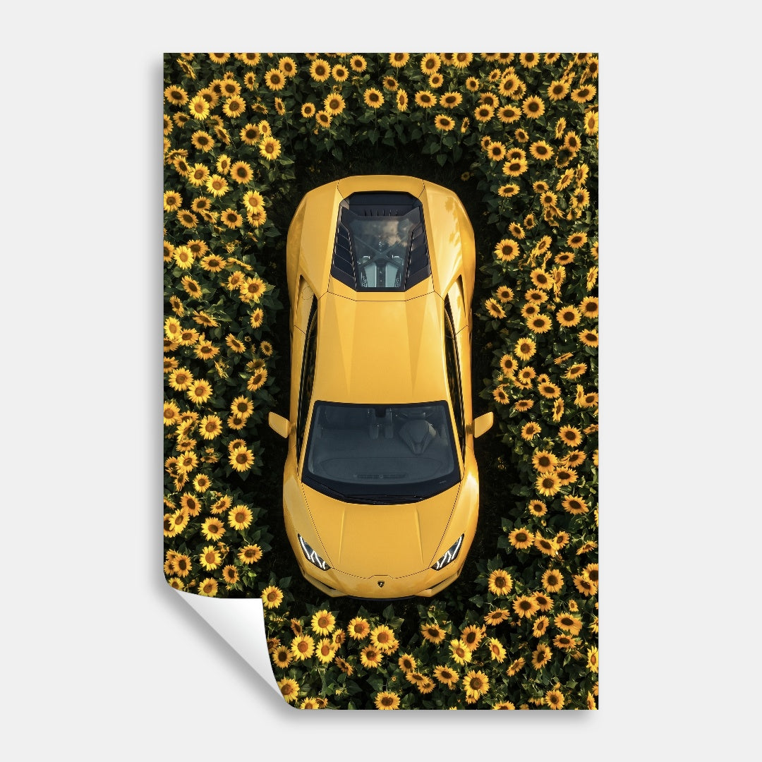 Lamborghini - Sunflower Garden