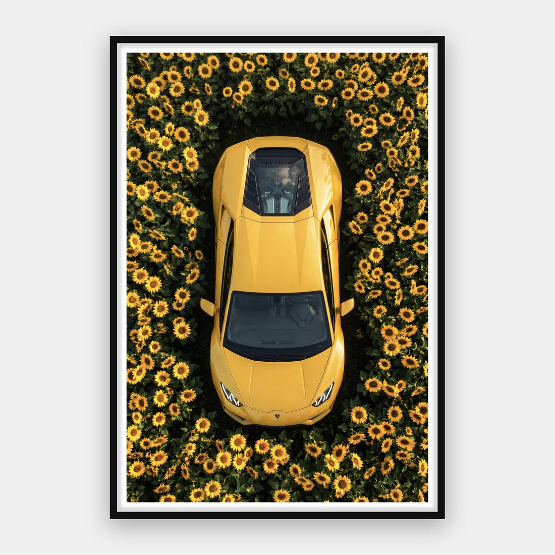 Lamborghini - Sunflower Garden