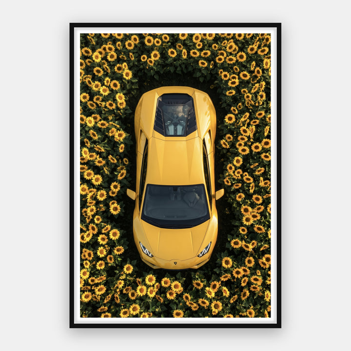 Lamborghini - Sunflower Garden