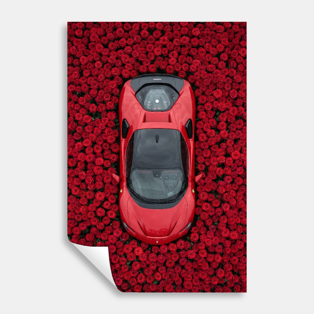 Ferrari - Rose Garden