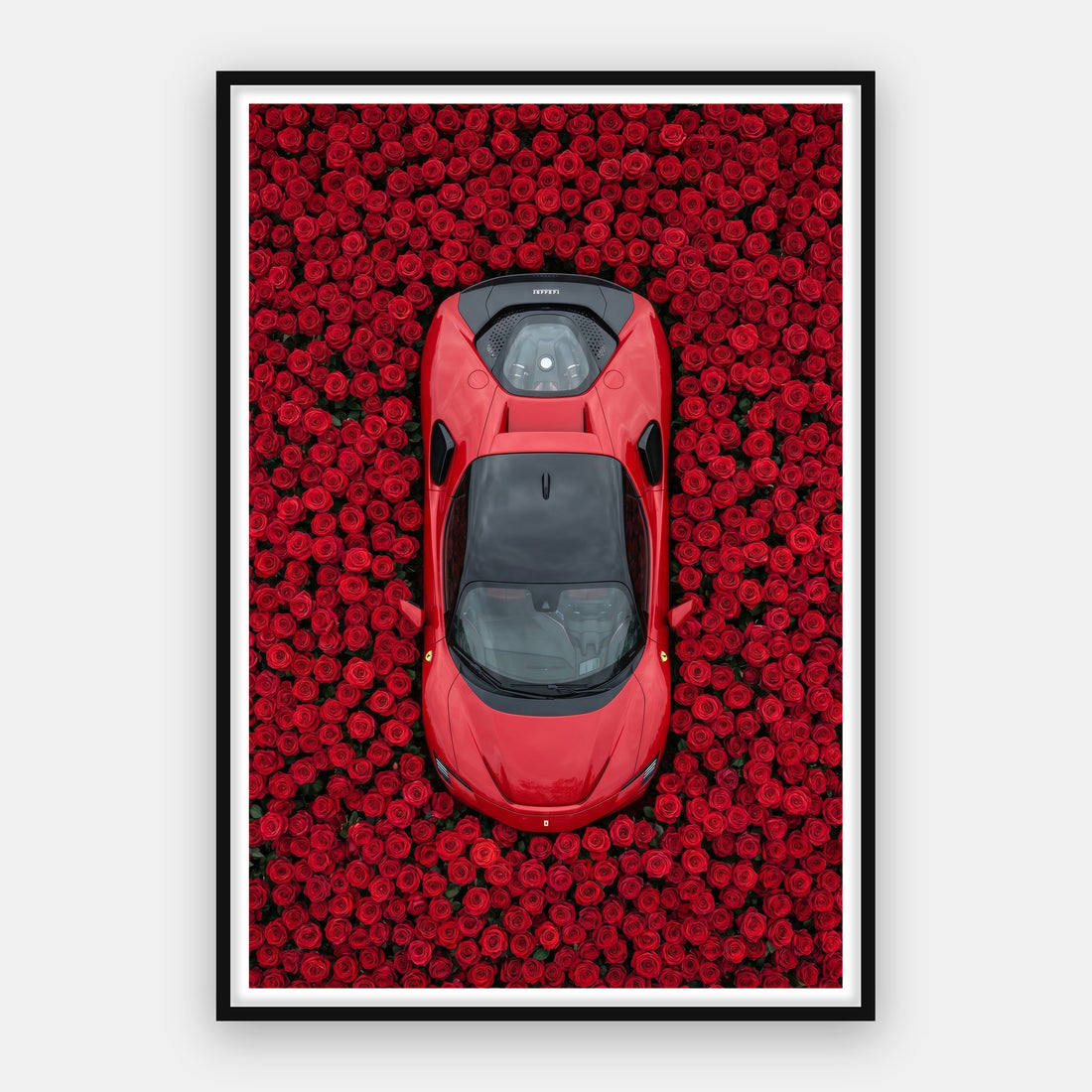 Ferrari - Rose Garden