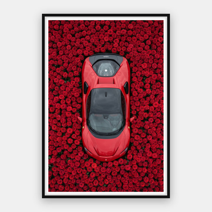 Ferrari - Rose Garden