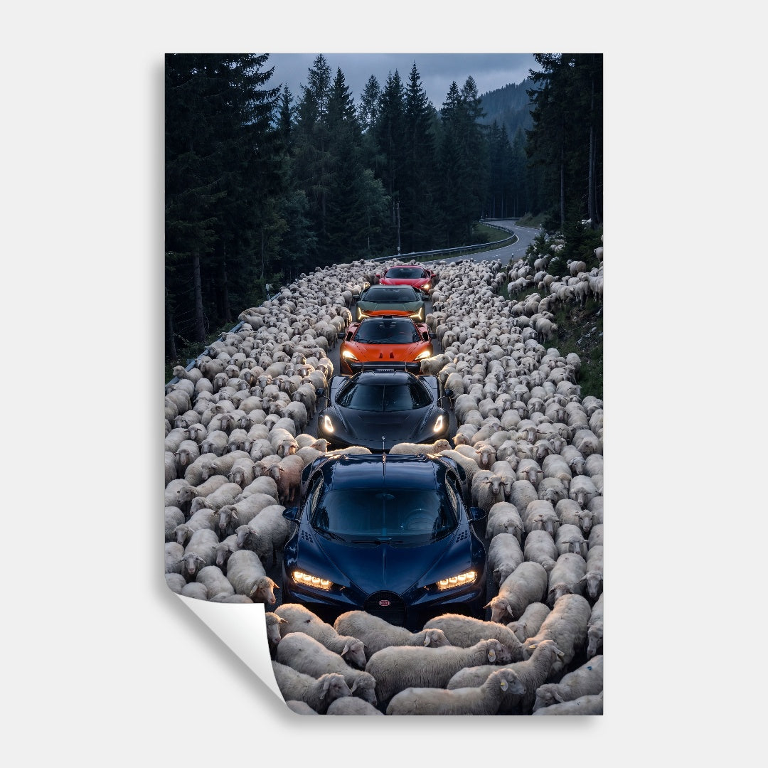 Out of the Herd