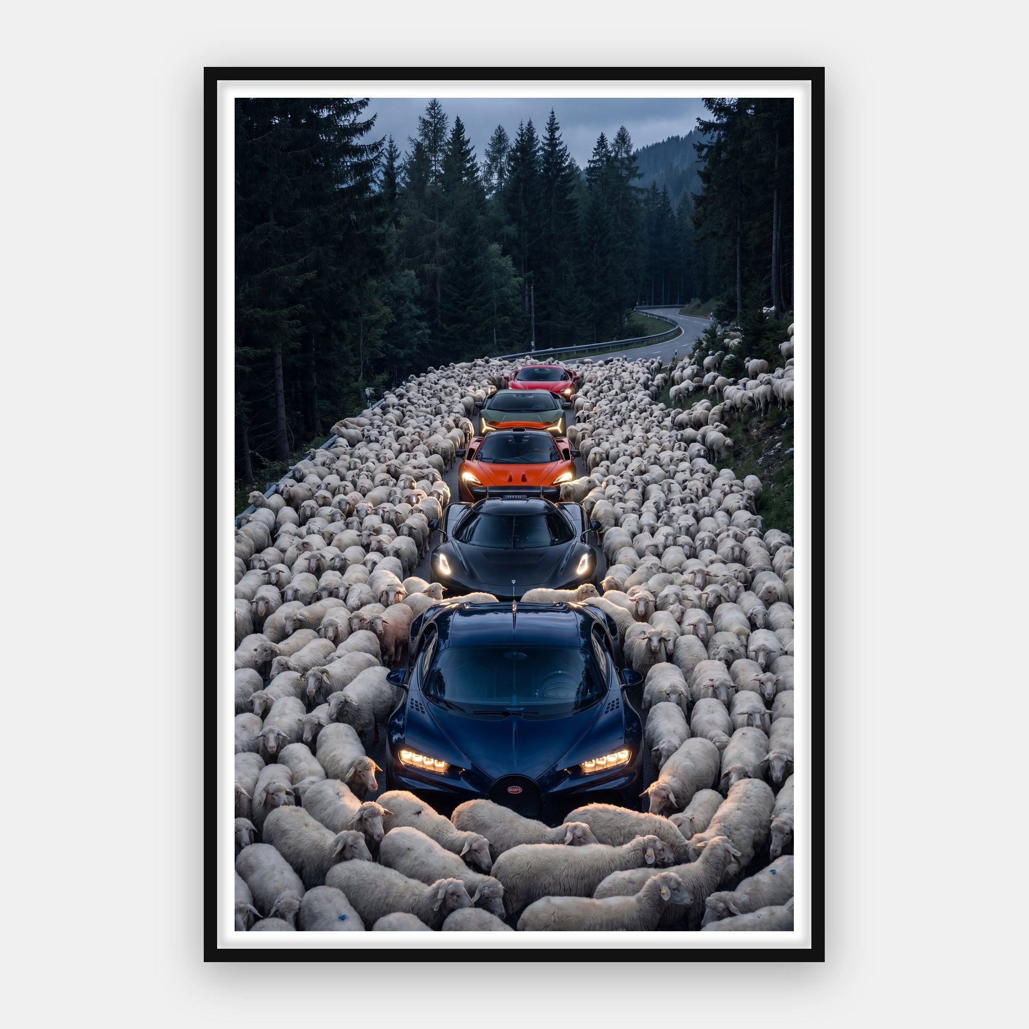 Out of the Herd