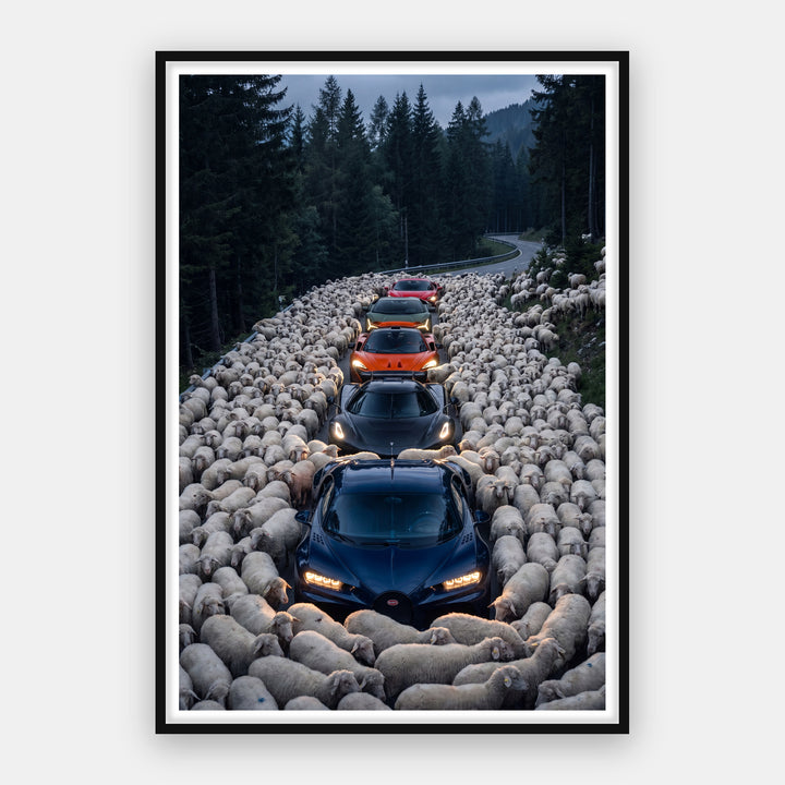 Out of the Herd