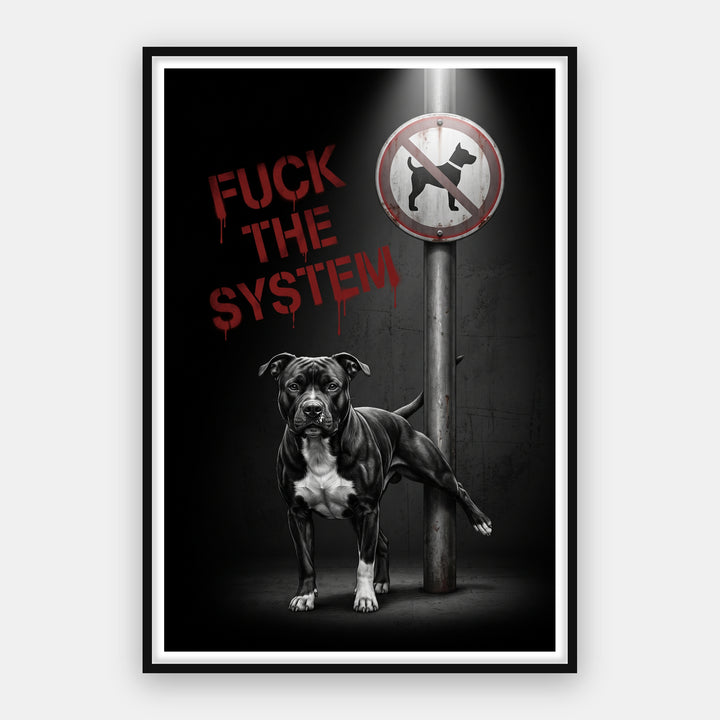 F The System