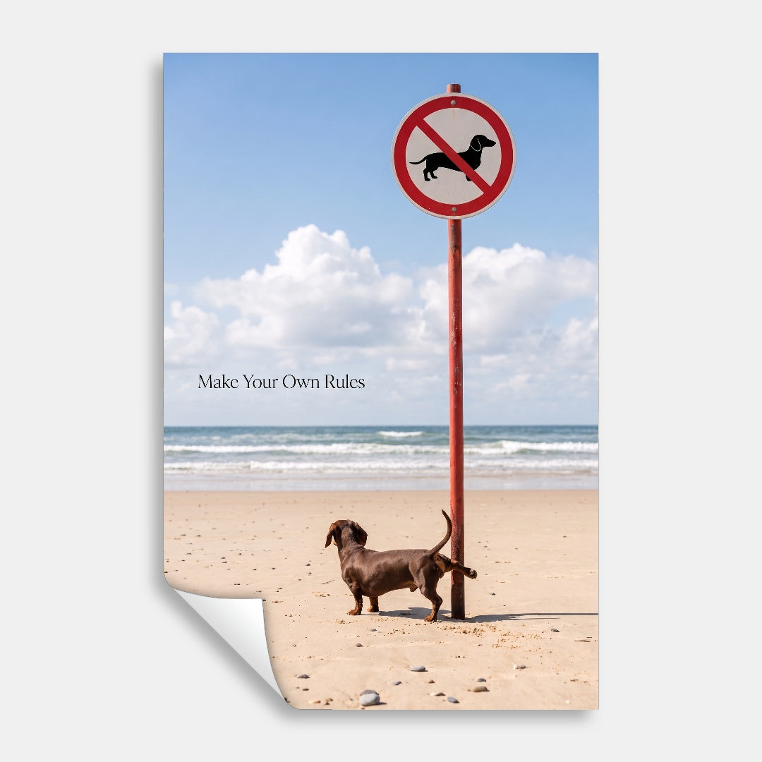 Make Your Own Rules