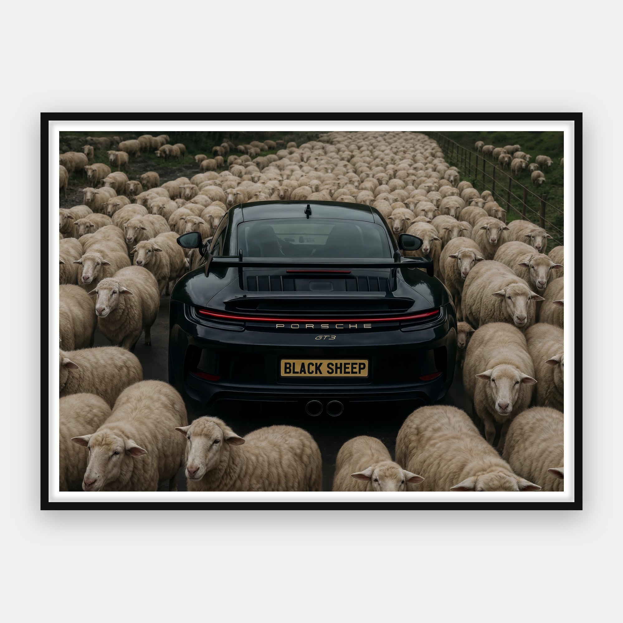 The Black Sheep - Porsche