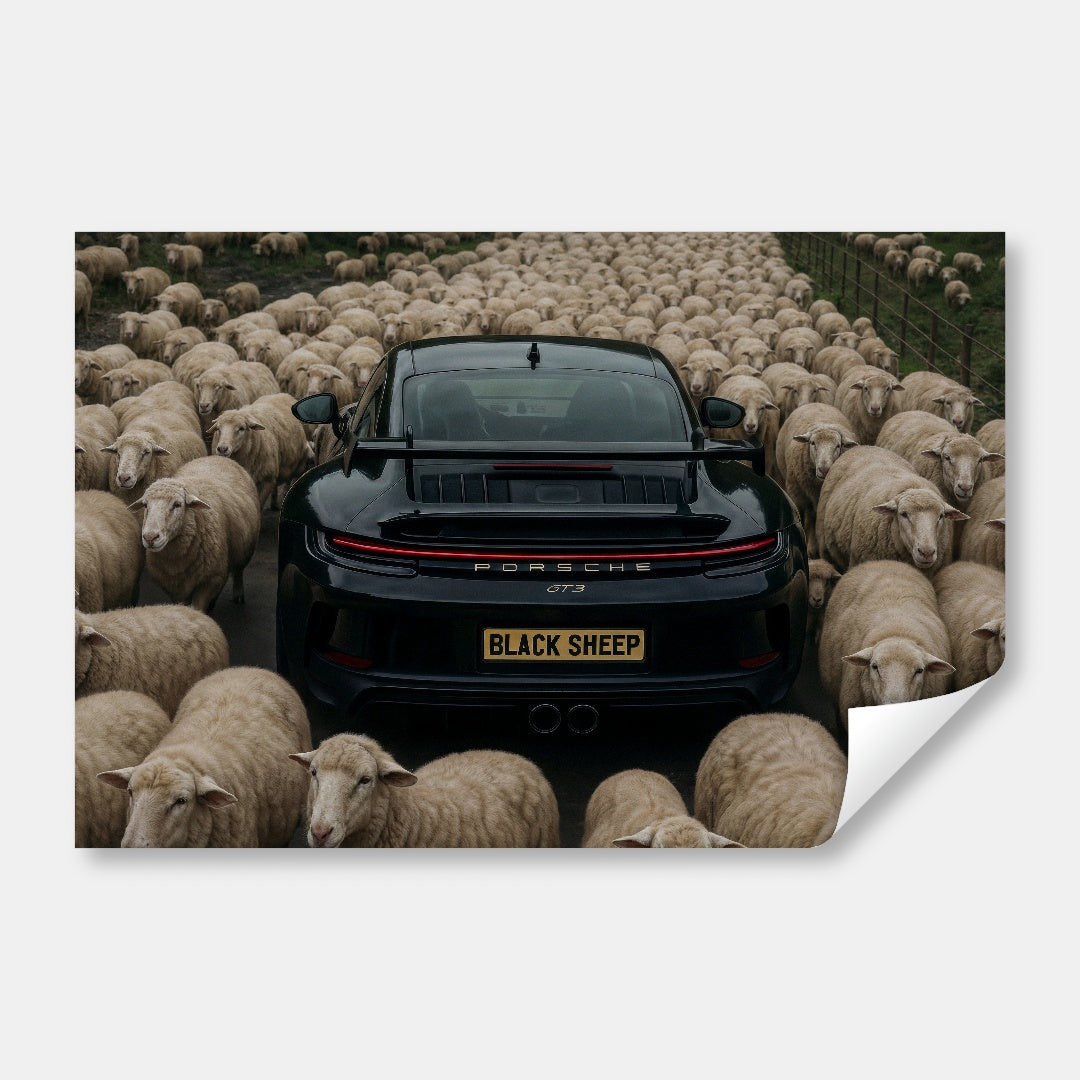 The Black Sheep - Porsche