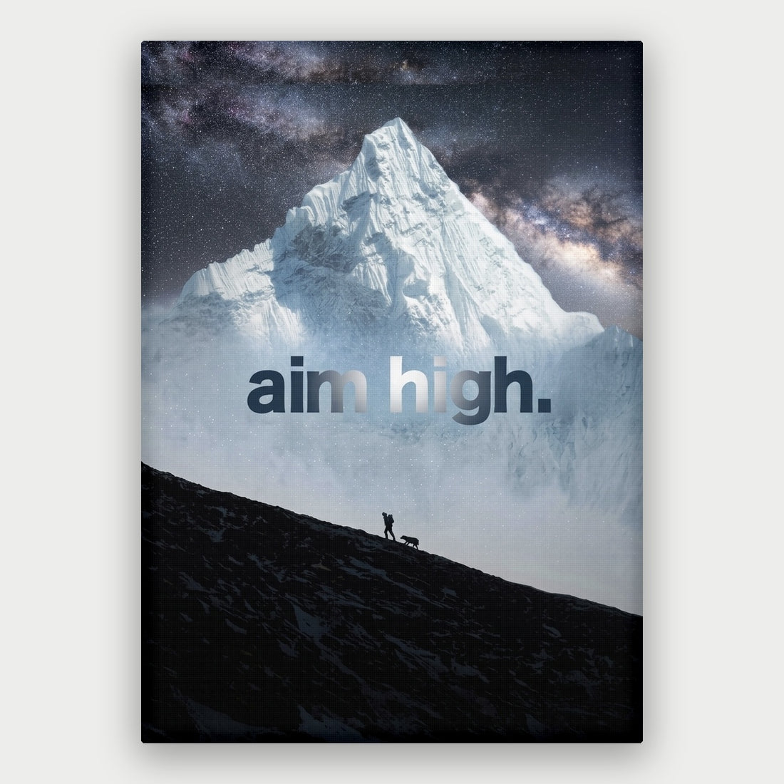 Aim High Canvas
