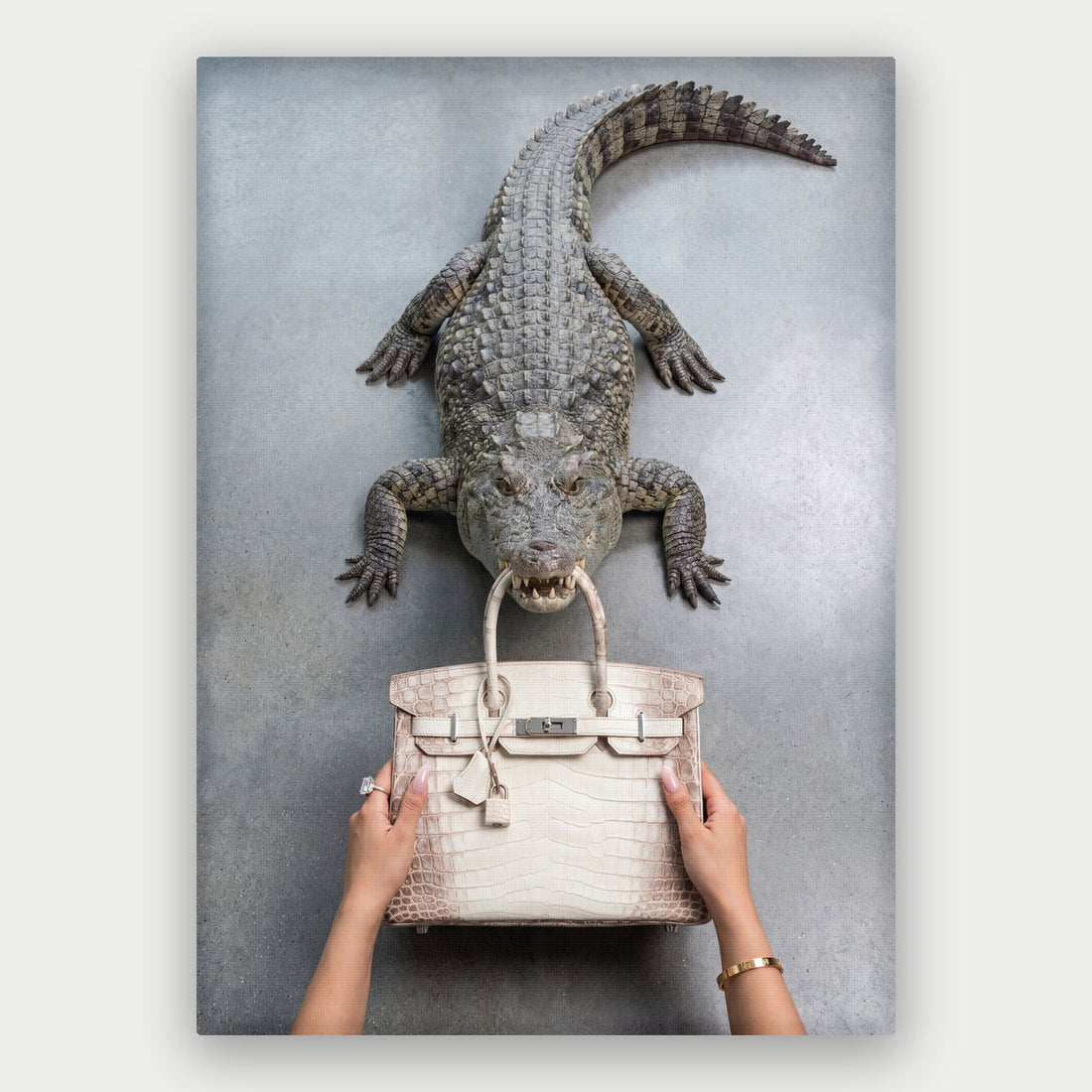 Birkin Bite Canvas