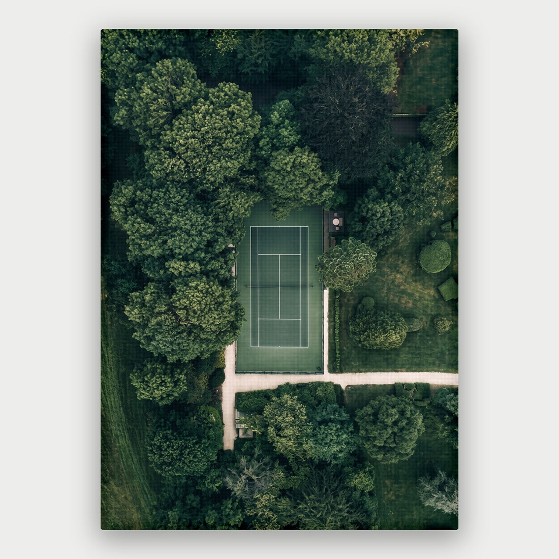 Forest Court Canvas