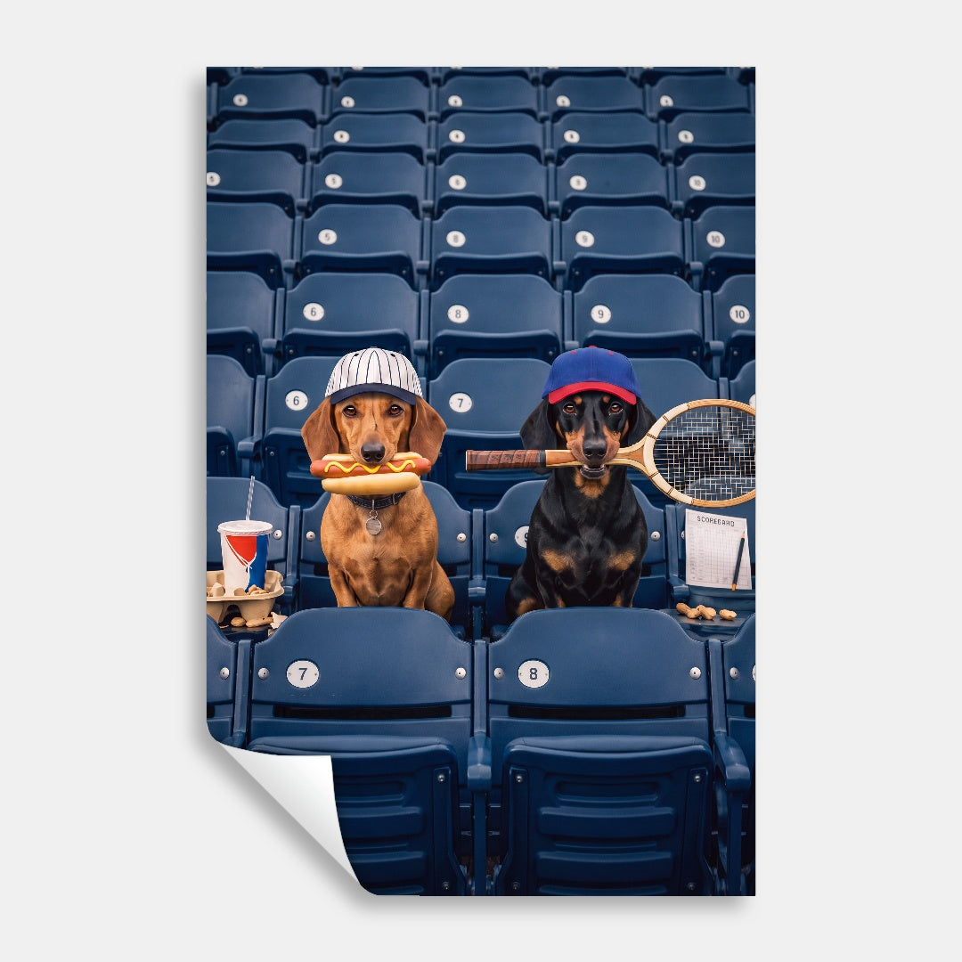 Pick Your Sport