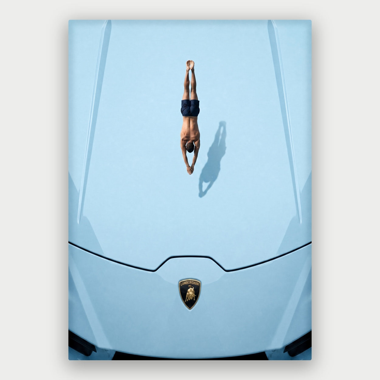 Car Swimming Canvas