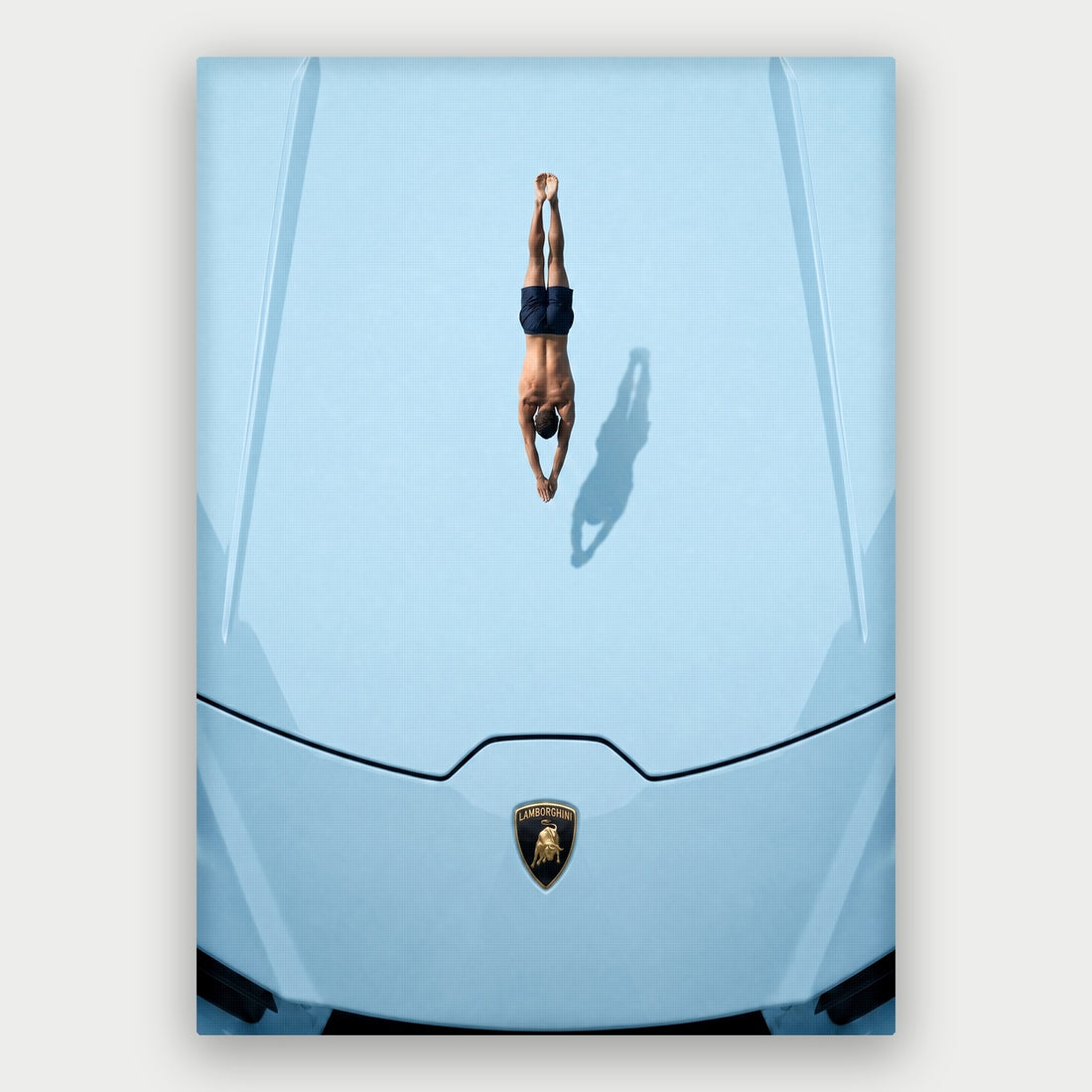 Car Swimming Canvas