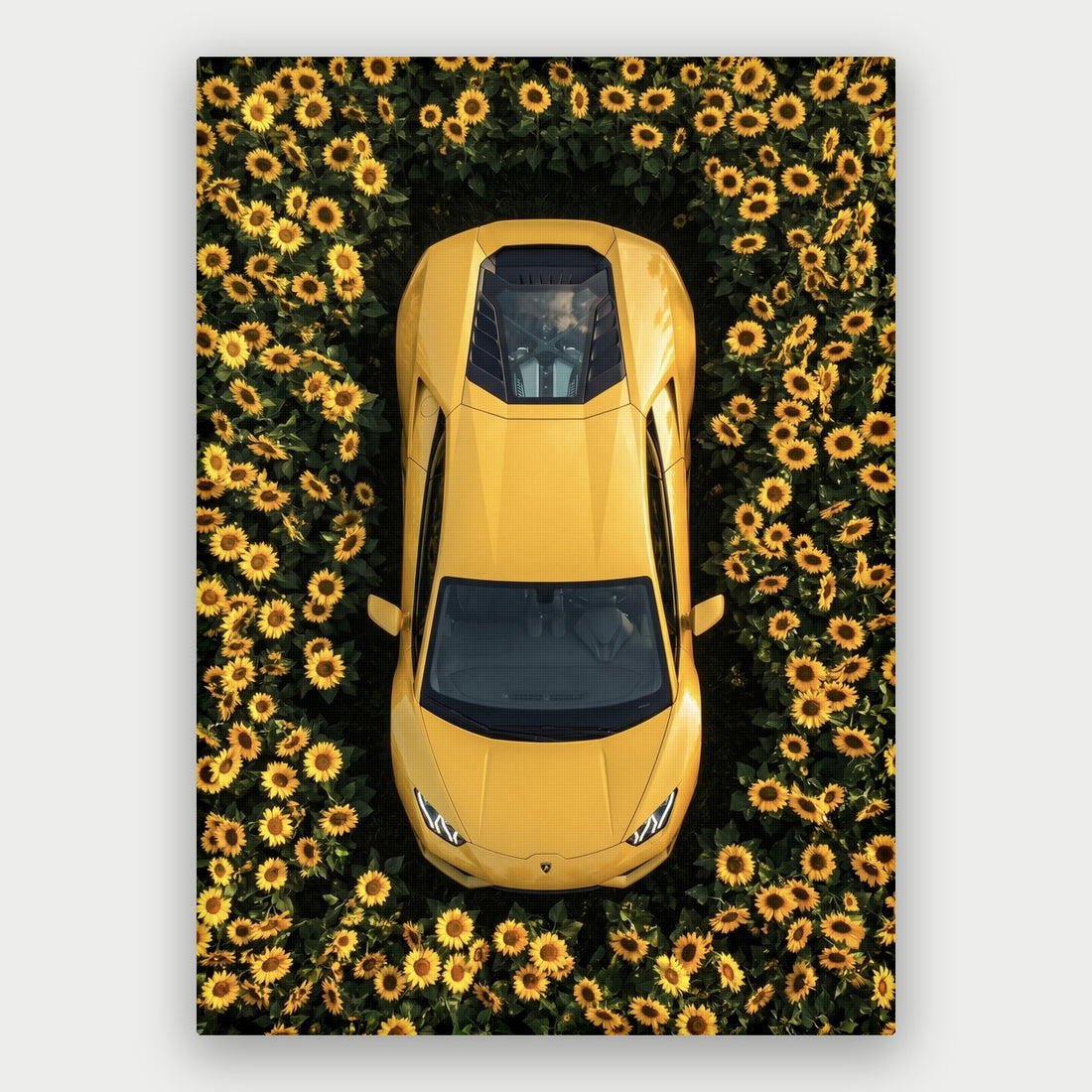 Lamborghini - Sunflower Garden Canvas