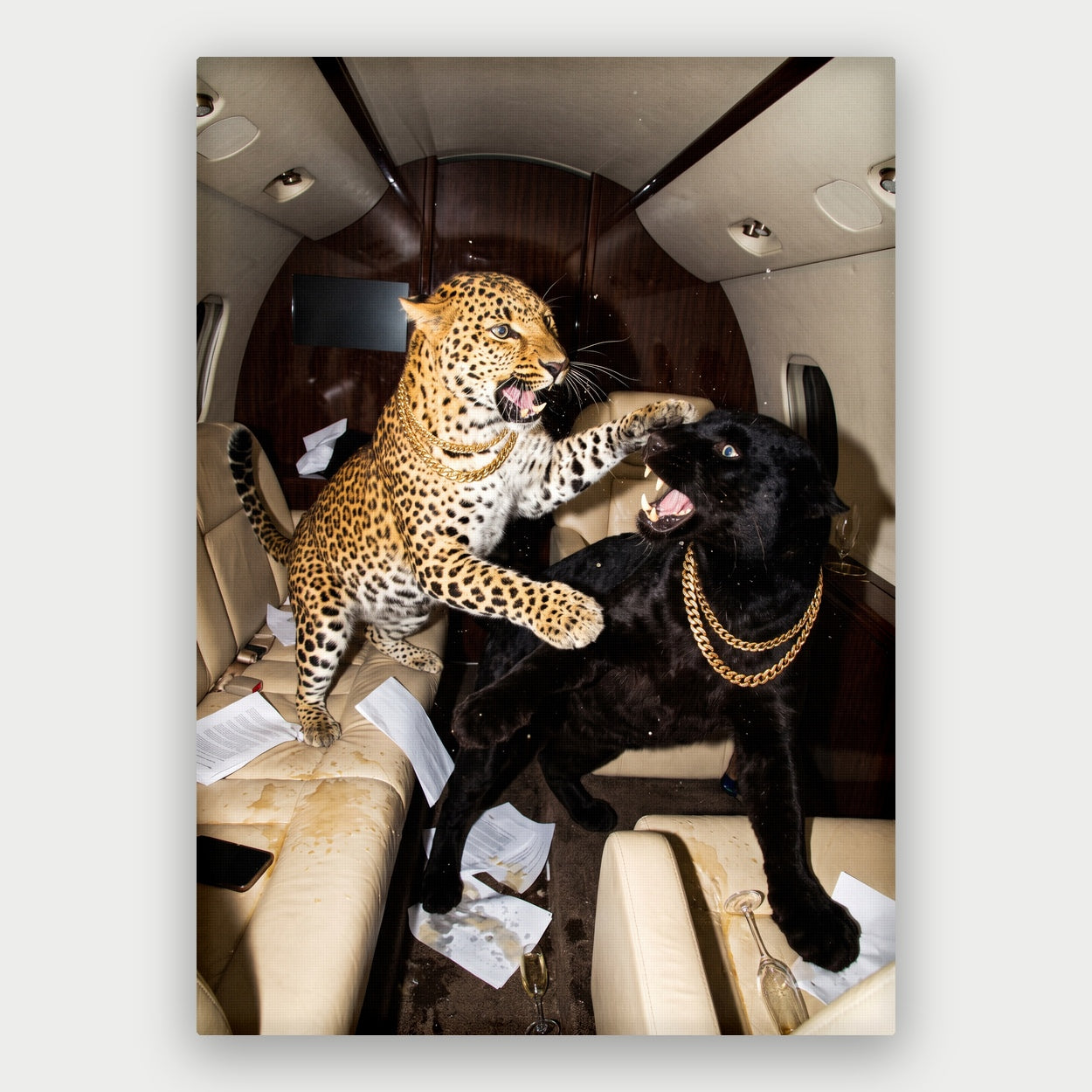 Cat Fight Canvas