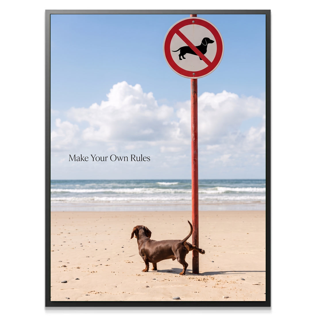 Make Your Own Rules