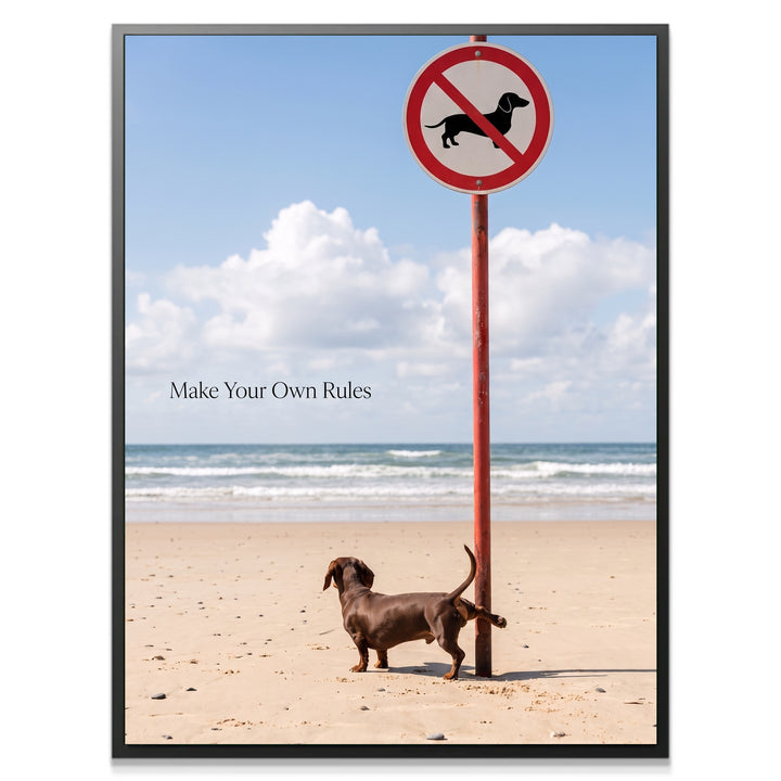Make Your Own Rules