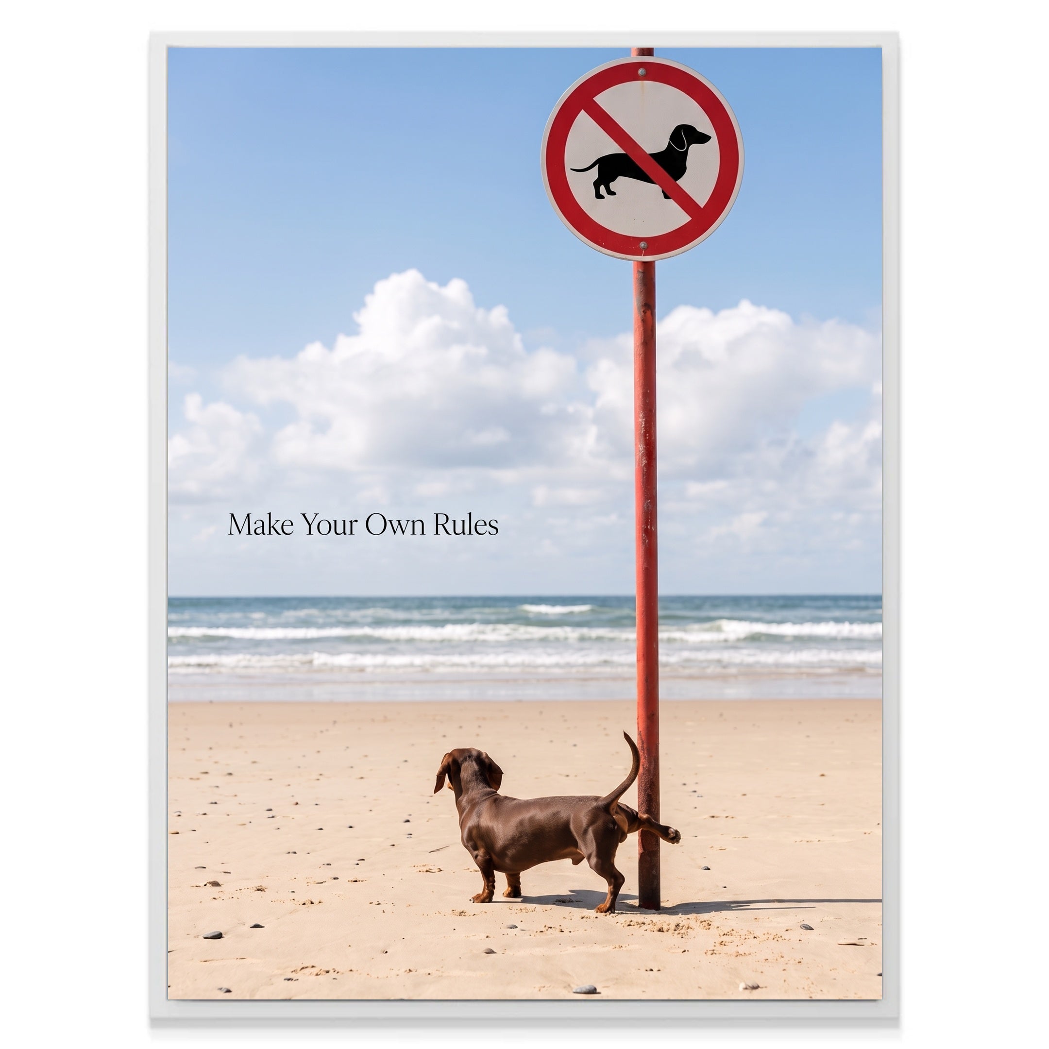 Make Your Own Rules