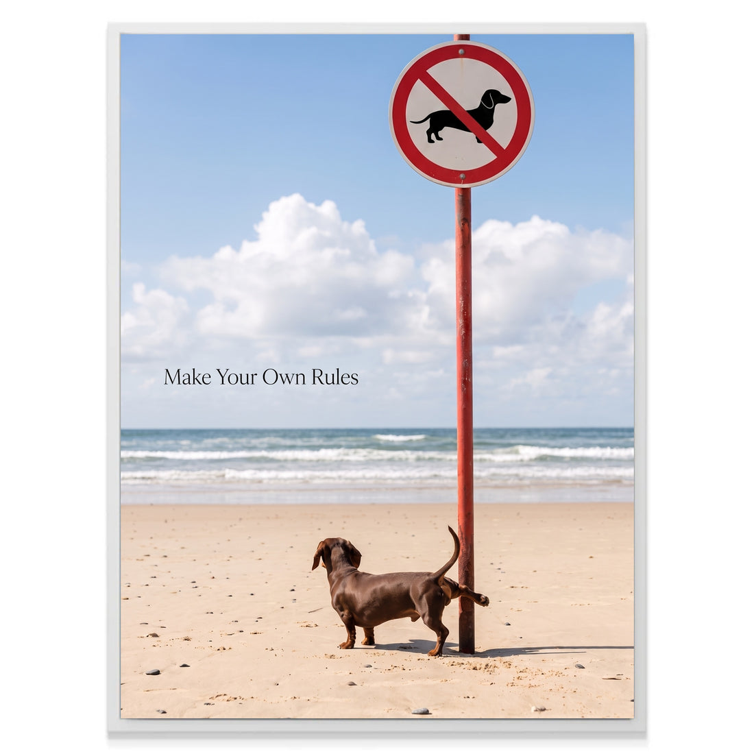 Make Your Own Rules