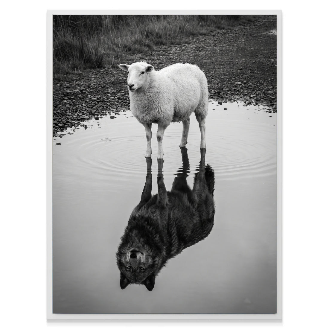 The Inner Wolf